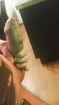 Mein Fetter Schwanz : 7 Nude Pics