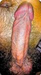 Penis: 8 Nude Pics