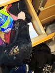 Mucky cunt: 8 Nude Pics