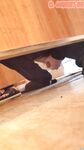 Asian Spy Collection Boys Porn