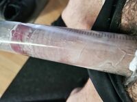 Archives 2: 33 Nude Pics