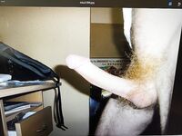 Cock pics 2005: 20 Nude Pics
