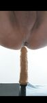 Clip pics I like it doggy : 6 Nude Pics