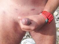 Naked at the beach: 12 Nude Pics