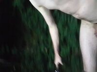 Outdoor fun: 4 Nude Pics