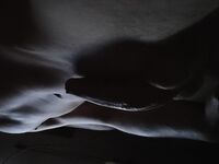 My big balls for you... like it: 29 Nude Pics