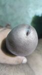 Pov : 20 Nude Pics