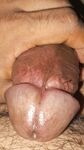 School by pic : 16 Nude Pics