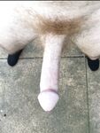 My ginger cock 2 : 11 Nude Pics