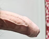 My Swiss Dick on Public Train: 9 Nude Pics