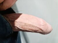 My Swiss Dick on Public Train: 9 Nude Pics