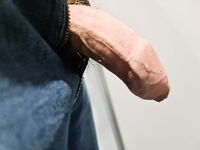 My Swiss Dick on Public Train: 9 Nude Pics