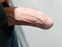 My Swiss Dick on Public Train: 9 Nude Pics