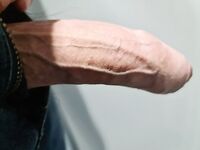 My Swiss Dick on Public Train: 9 Nude Pics