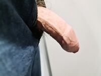 My Swiss Dick on Public Train: 9 Nude Pics