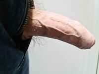 My Swiss Dick on Public Train: 9 Nude Pics
