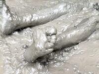 SHOT : MUD BONDAGE: 28 Nude Pics