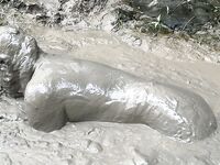 SHOT : MUD BONDAGE: 28 Nude Pics