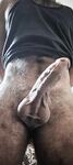 Lebanese hard big dick: 4 Nude Pics