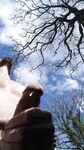 Always horny as fuck : 11 Nude Pics