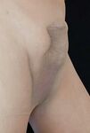 My Cock: 34 Nude Pics