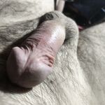 Sweet Cock - photo.: 16 Nude Pics