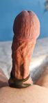 My veiny hard cock in close up: 31 Nude Pics