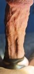 My veiny hard cock in close up: 31 Nude Pics