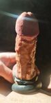 My veiny hard cock in close up: 31 Nude Pics