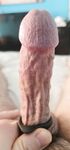 My veiny hard cock in close up: 31 Nude Pics