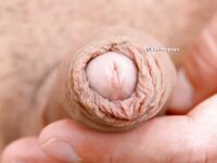 Tenoch: 48 Nude Pics