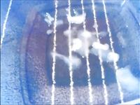 Cumshot Pictures: 18 Nude Pics