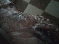 Boy takes naked photos with manly soap in the : 12 Nude Pics