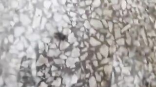 Bad spy cam