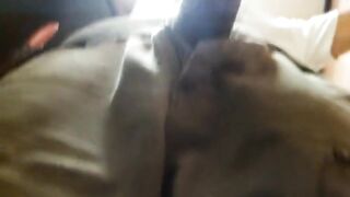 Sucking Latino handyman Dick In Public Bathroom
