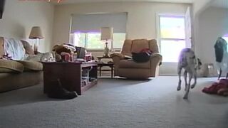 Hidden Cam Blowjob Str8 Friend's Son
