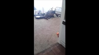 Caught lil slut and dl dude