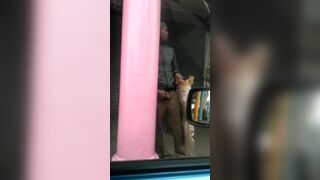 Horny black homeless giving a show