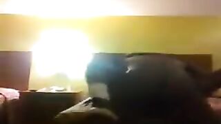 Fucking my cousin in a hotel room