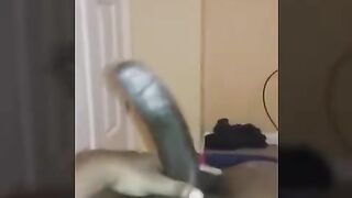 Horny black strokes his huge silken cock
