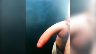 A perfect long white cock