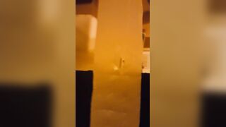 Farm worker rubbing his cock in a public bathroom while waiting for his boss